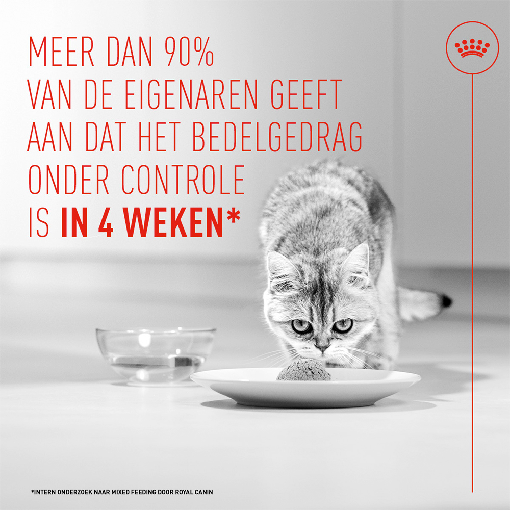 Royal Canin Appetite Control Care AirLift Mousse - Kattenvoer