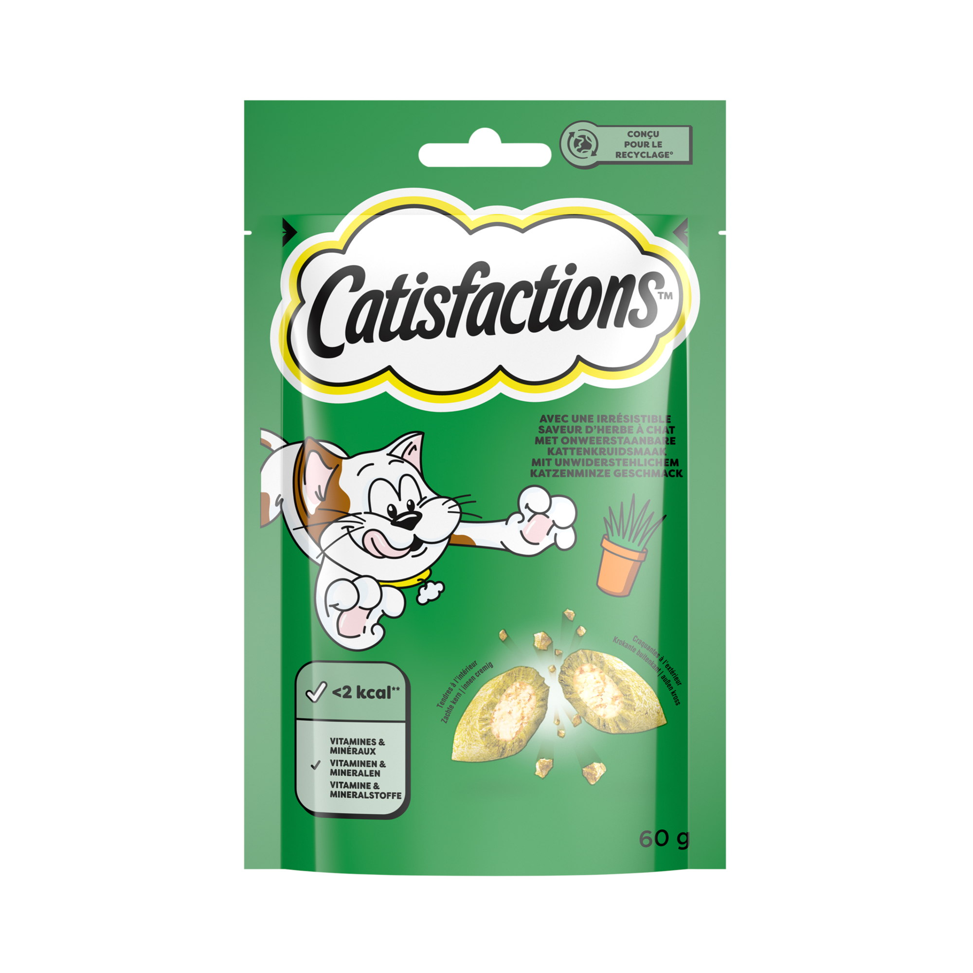 Catisfactions Cat Treats - Catnip - 60 g