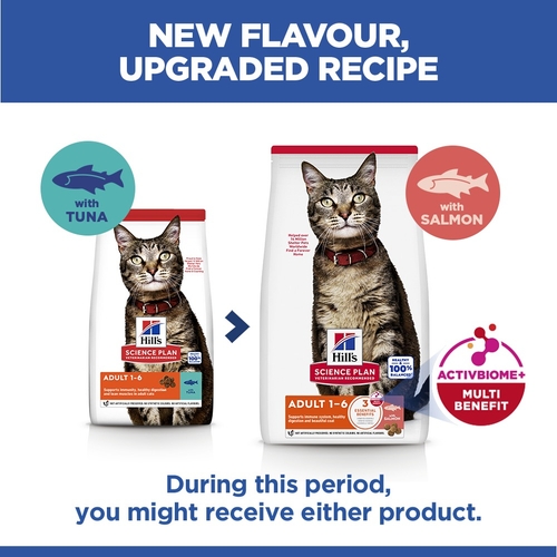 Hill's Science Plan - Feline Adult - Salmon