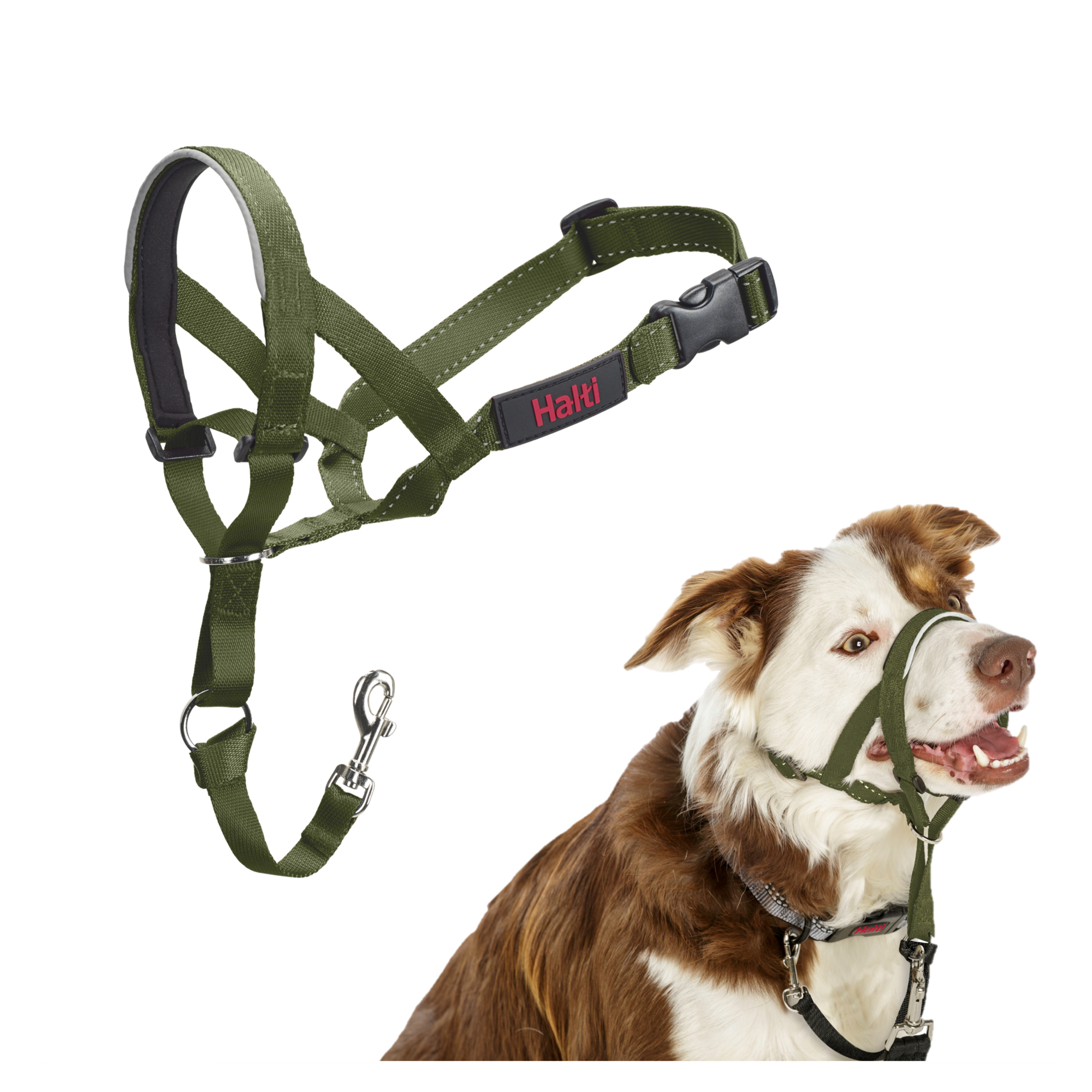 Halti Headcollar