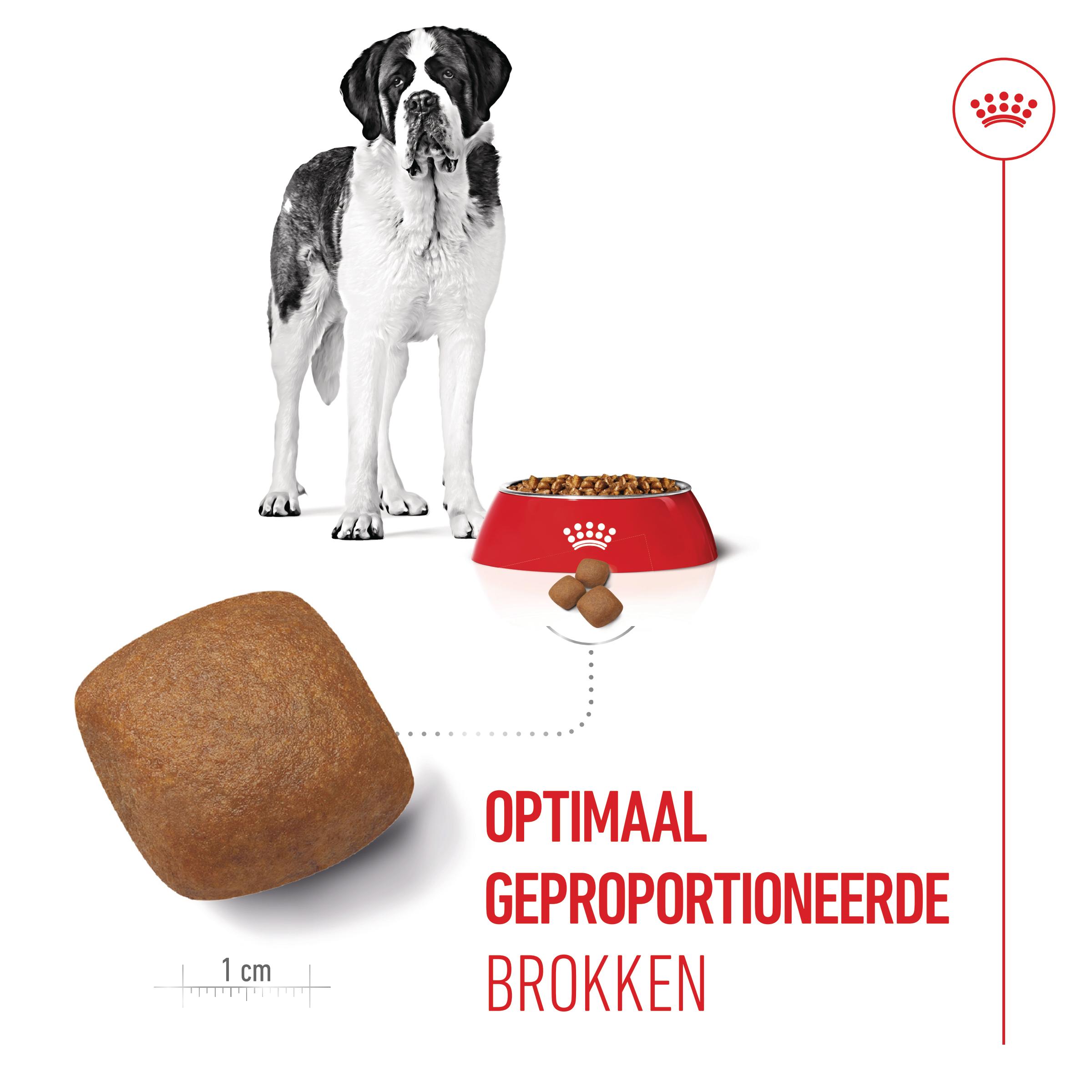 Royal Canin Giant Junior - Hondenvoer