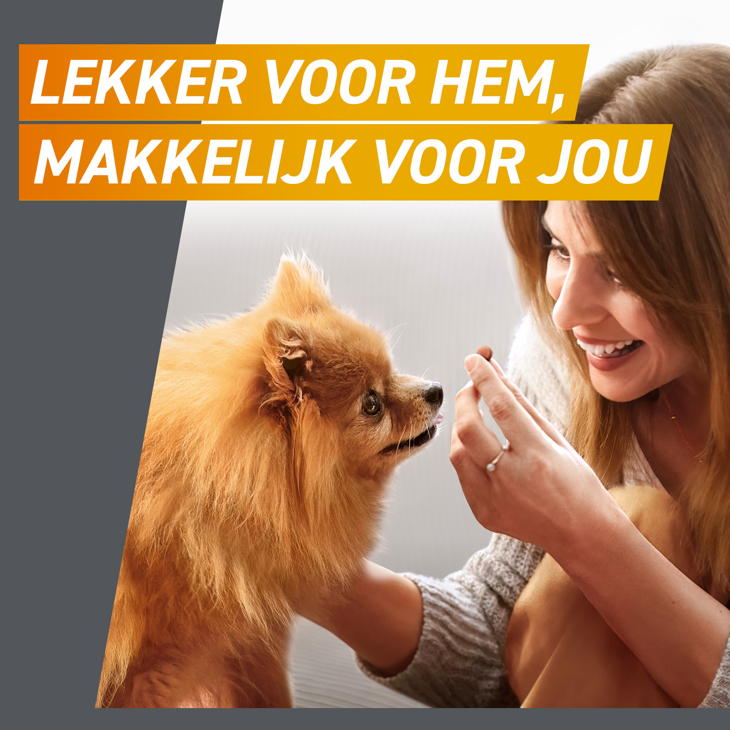 FRONTPRO Kauwtabletten Hond
