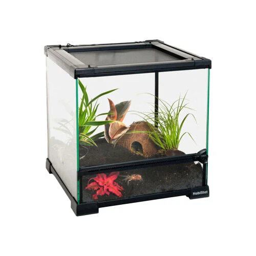 HabiStat Terrario in Vetro Trasparente