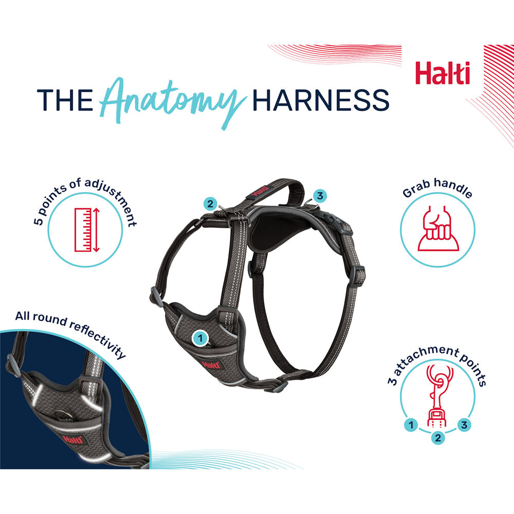 Halti Anatomy Harness