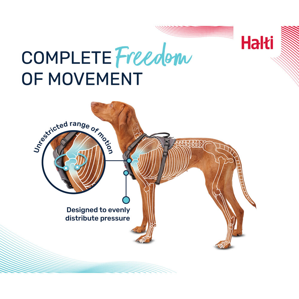 Halti Anatomy Harness