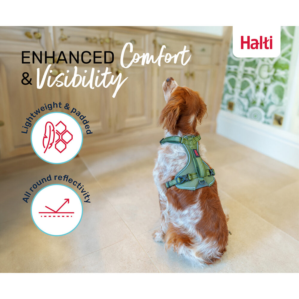 Halti Anatomy Harness