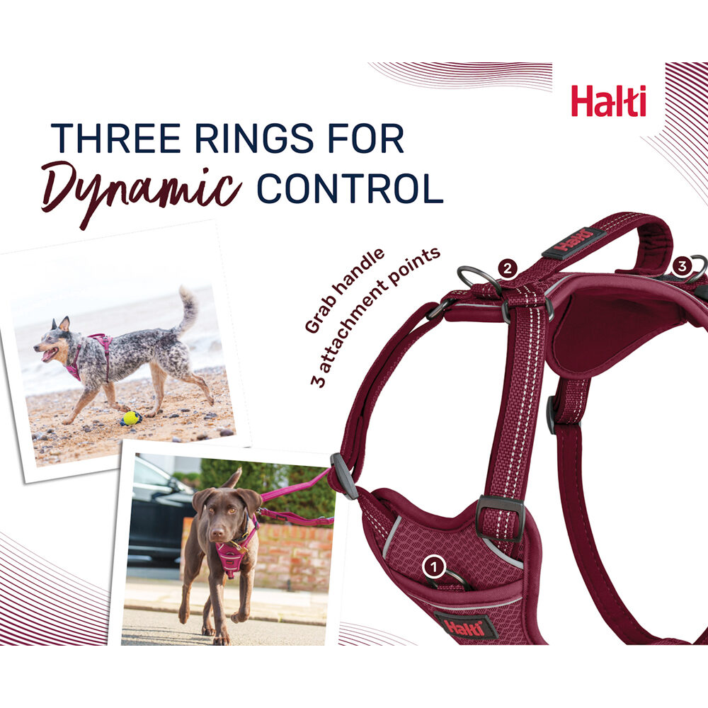 Halti Anatomy Harness