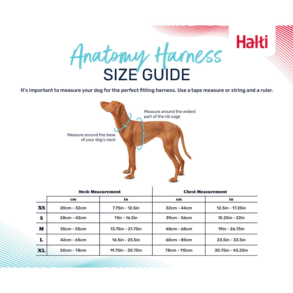 Halti Anatomy Harness