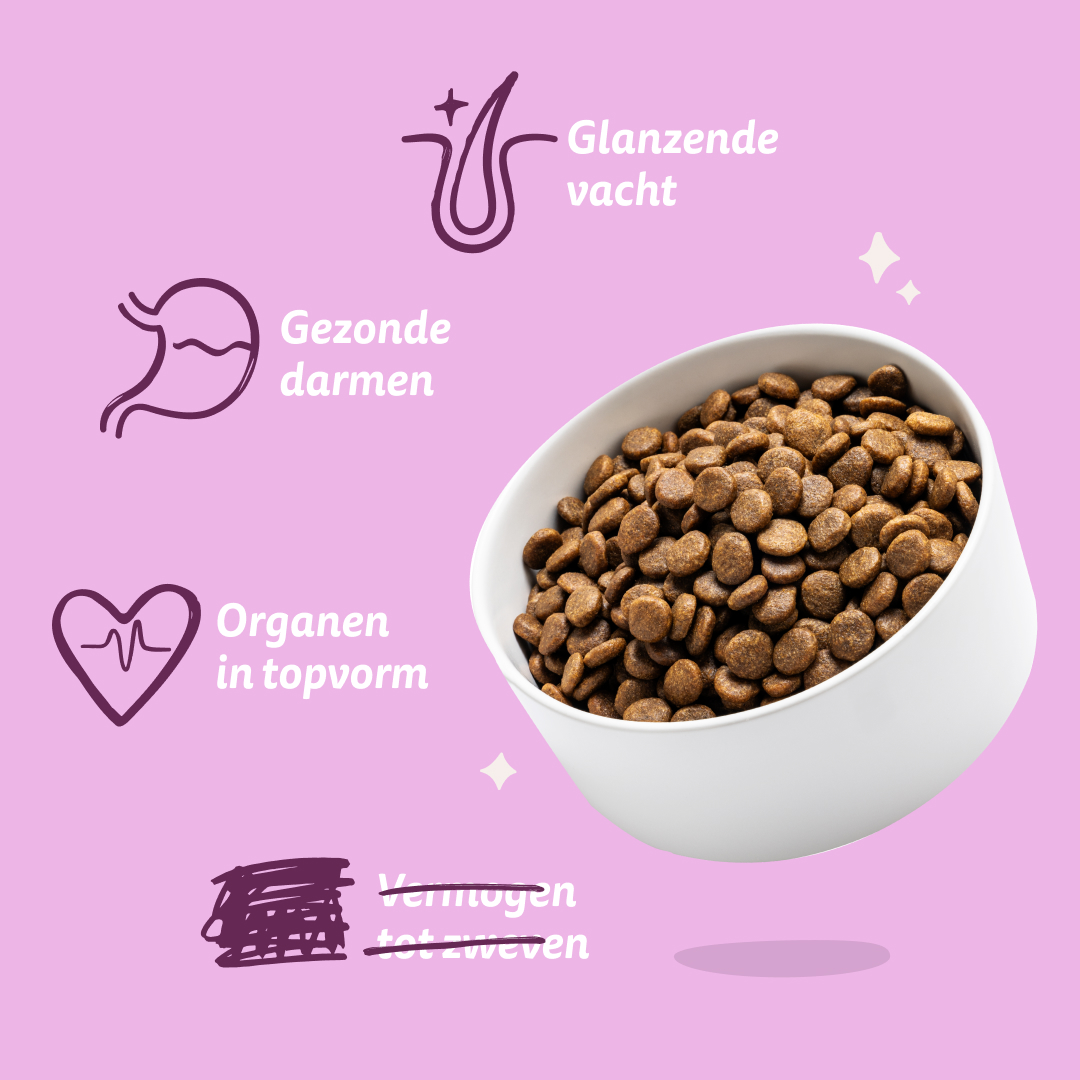 Edgard & Cooper Adult - Hert & Eend