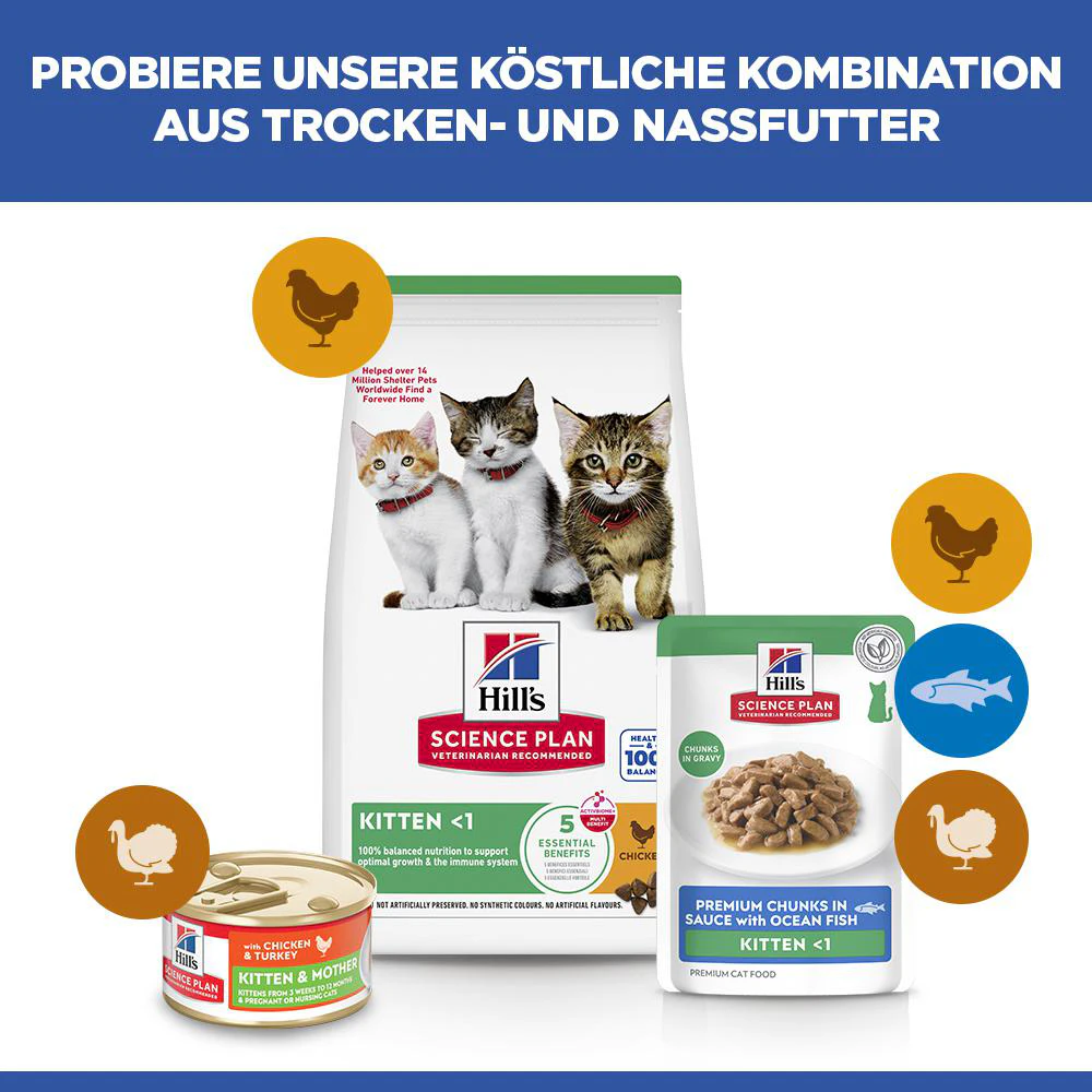 Hill's Science Plan - Kätzchen - Meeresfrüchte - Mahlzeit Beutel