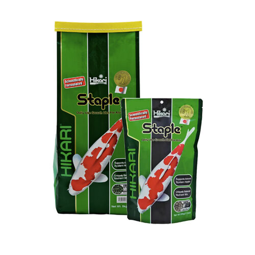 Hikari Staple Medium