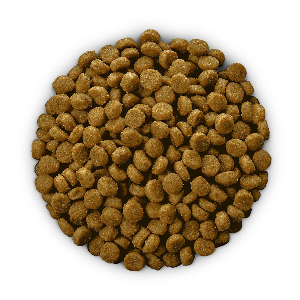 Hill's c/d  Urinary Care - Prescription Diet - Canine 