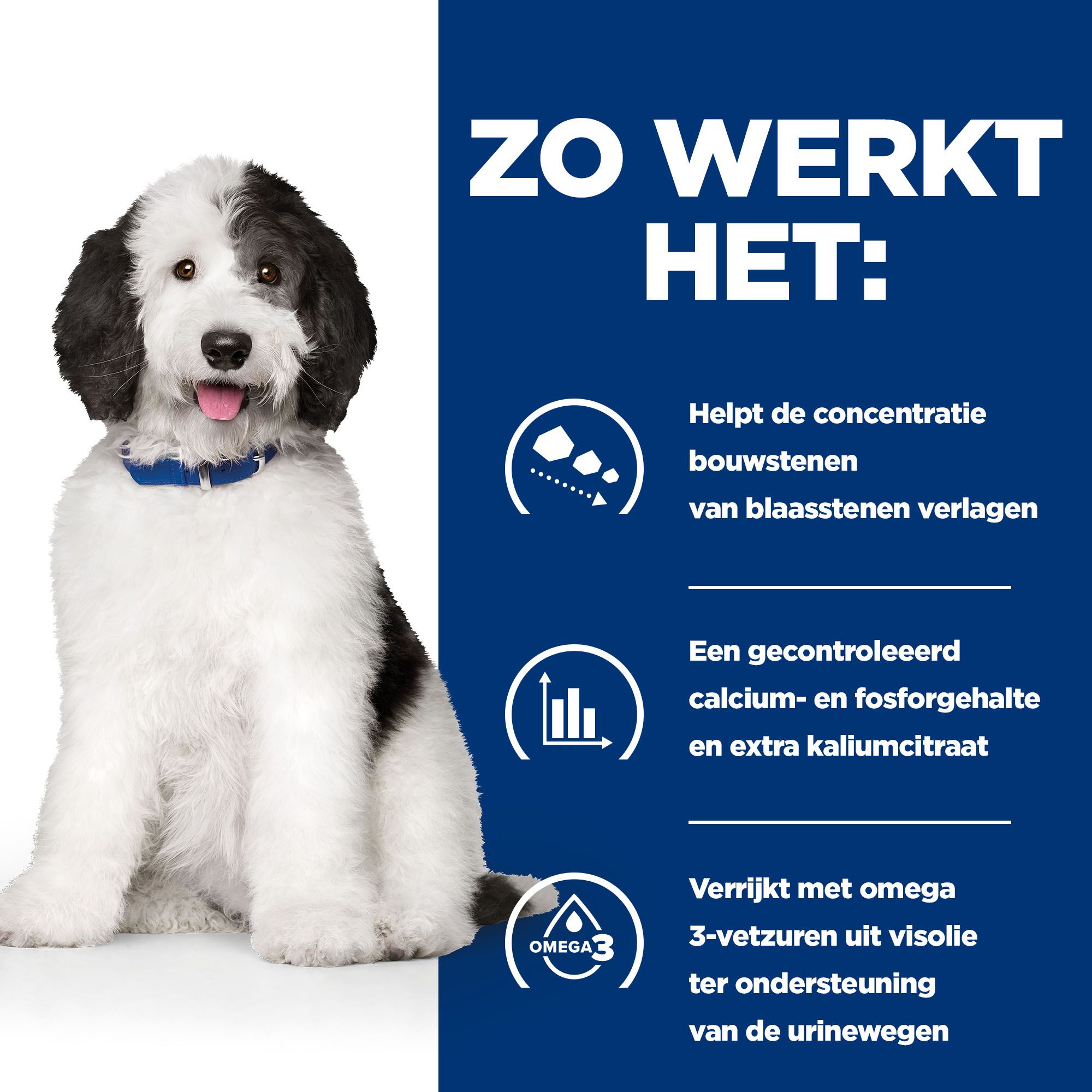 Hills urinary care hund outlet