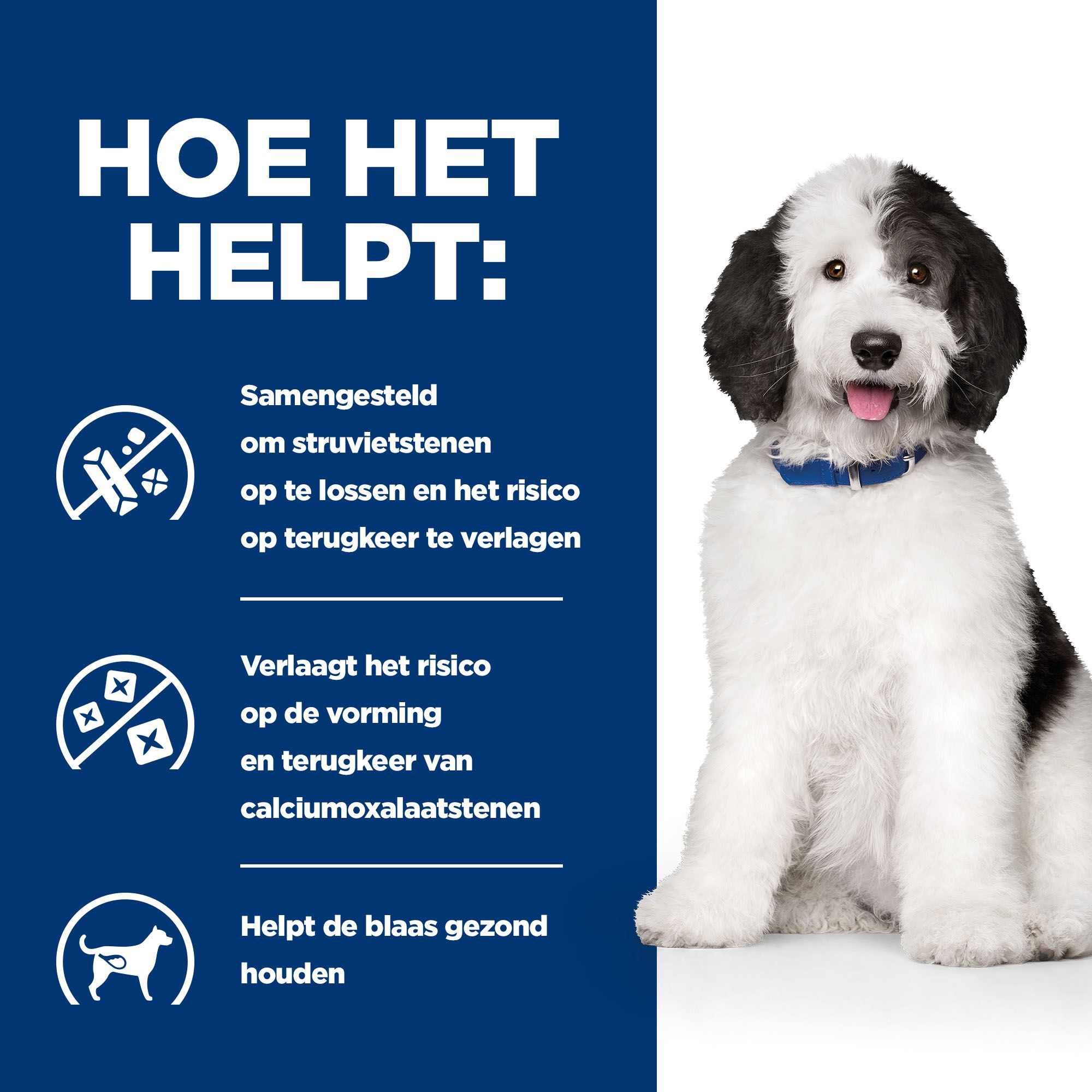 Hill s c d Canine Hond Bestellen Medpets
