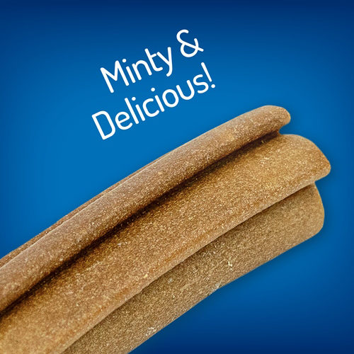Hills 2025 dental chews