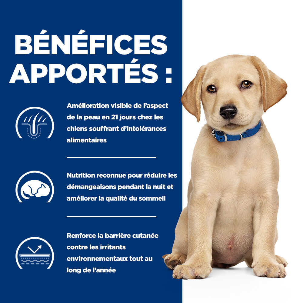 Hill's Derm Complete Puppy - Prescription Diet - Boîte