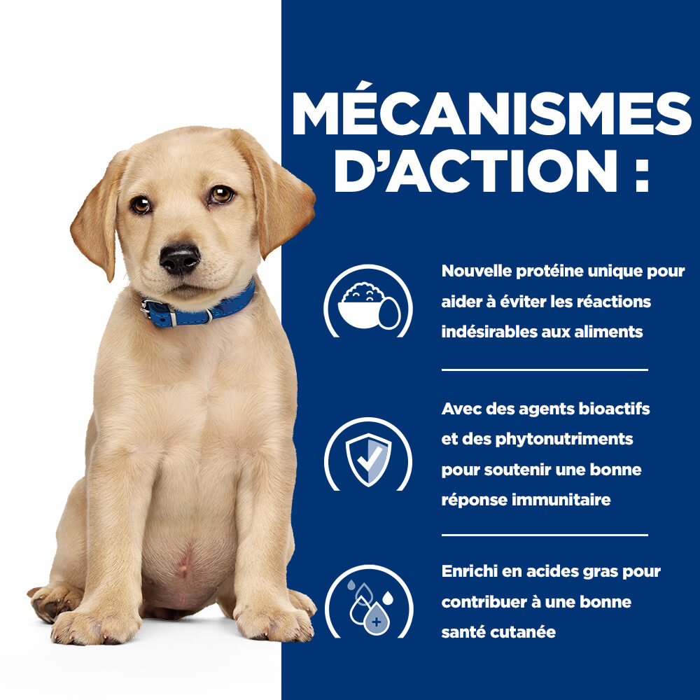 Hill's Derm Complete Puppy - Prescription Diet - Boîte