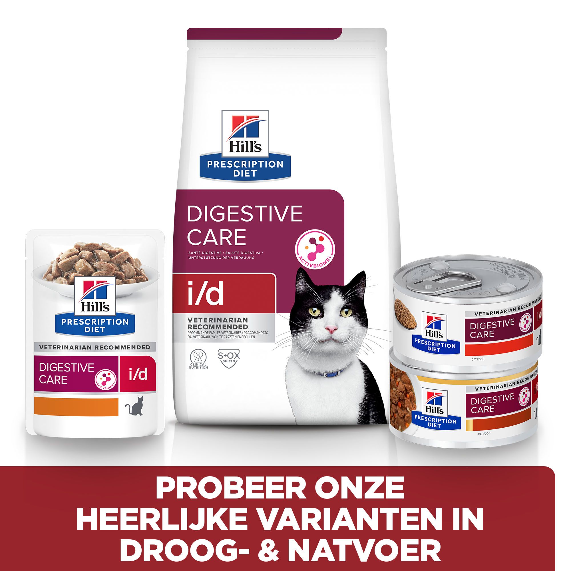 Hills digestive on sale care cat