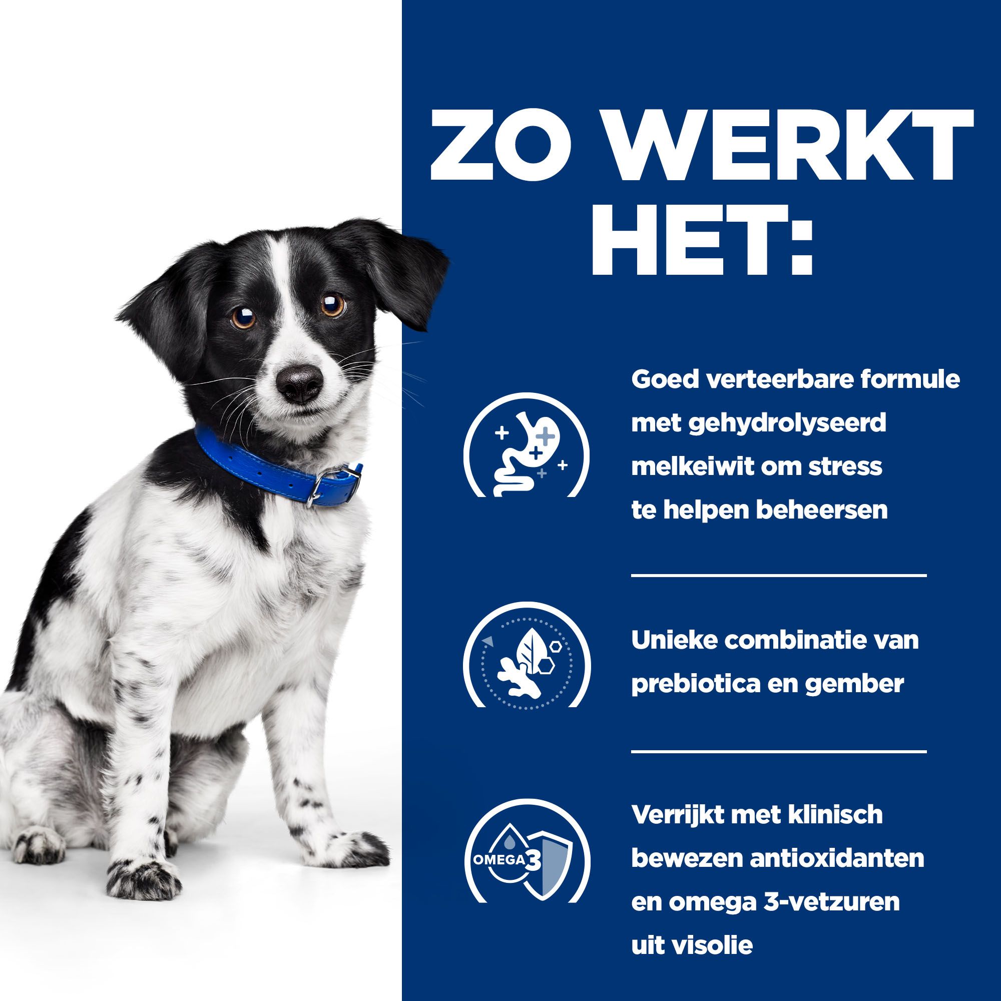 Hill s i d Stress Mini Canine Hond Bestellen Medpets.be