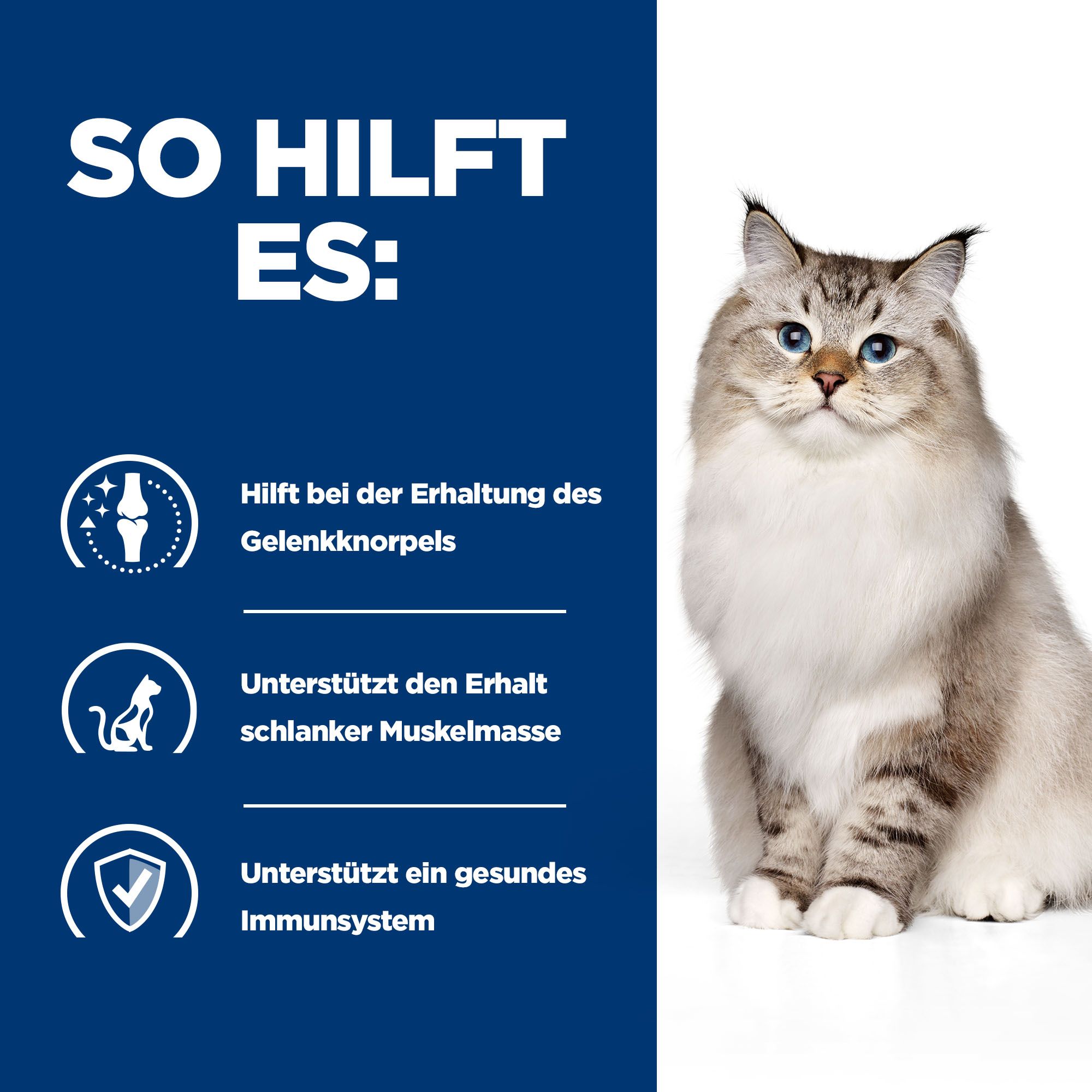 Hills jd hot sale feline