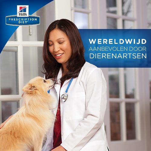Hills prescription diet joint care reduced calorie sales