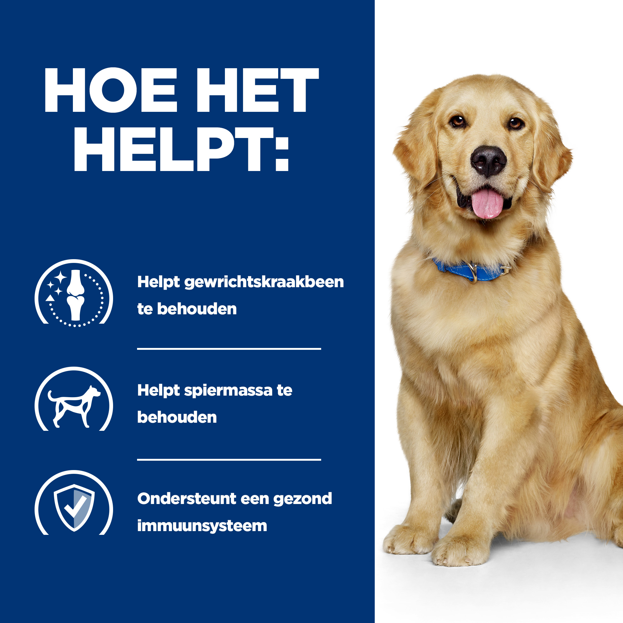 Hill s j d Reduced Calorie Canine Hond Bestellen Medpets.be