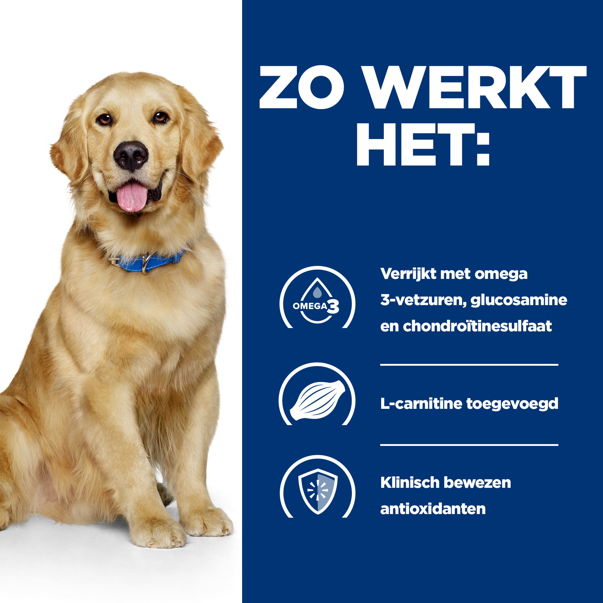 Hill s j d Reduced Calorie Canine Hond Bestellen Medpets