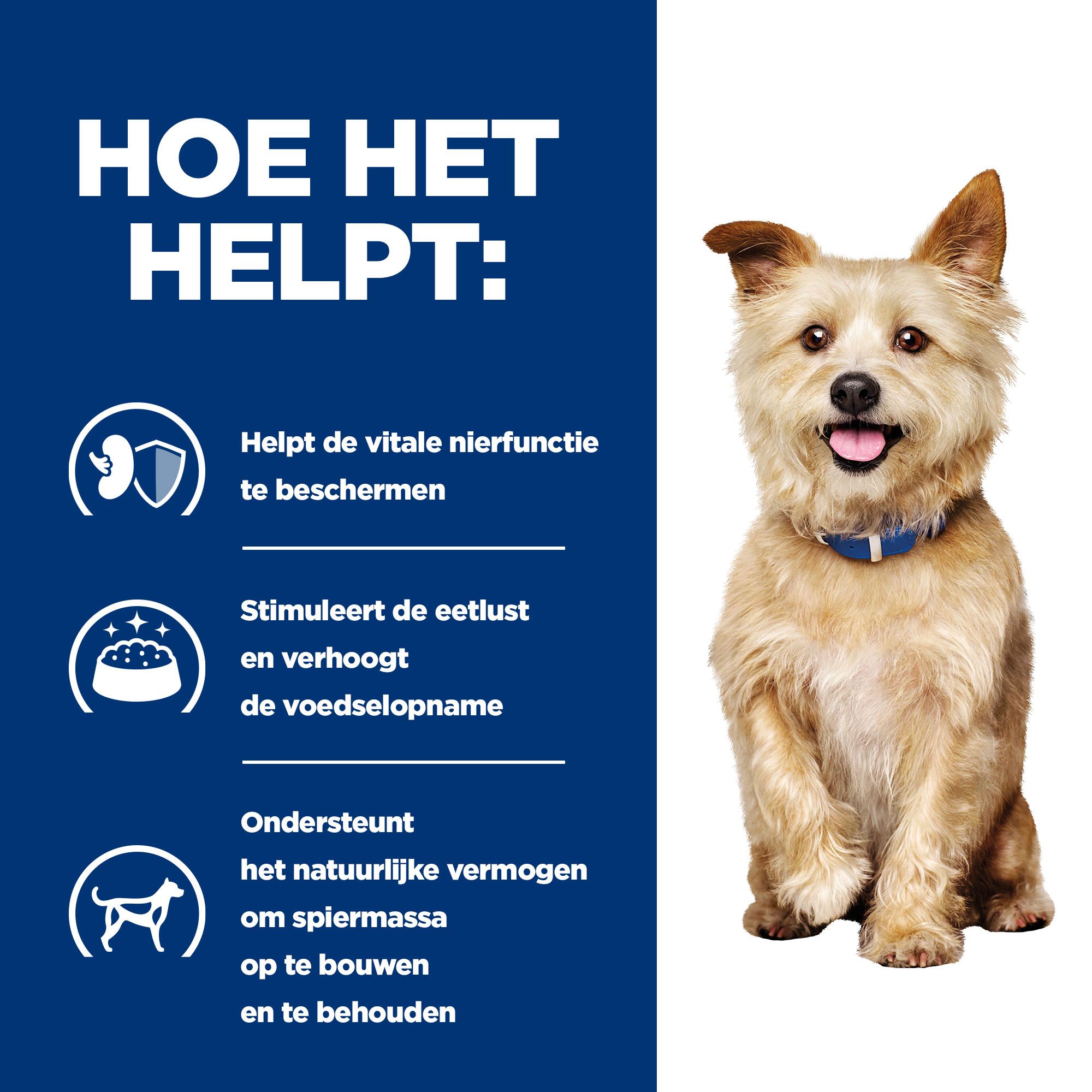 Hills kd canine hotsell