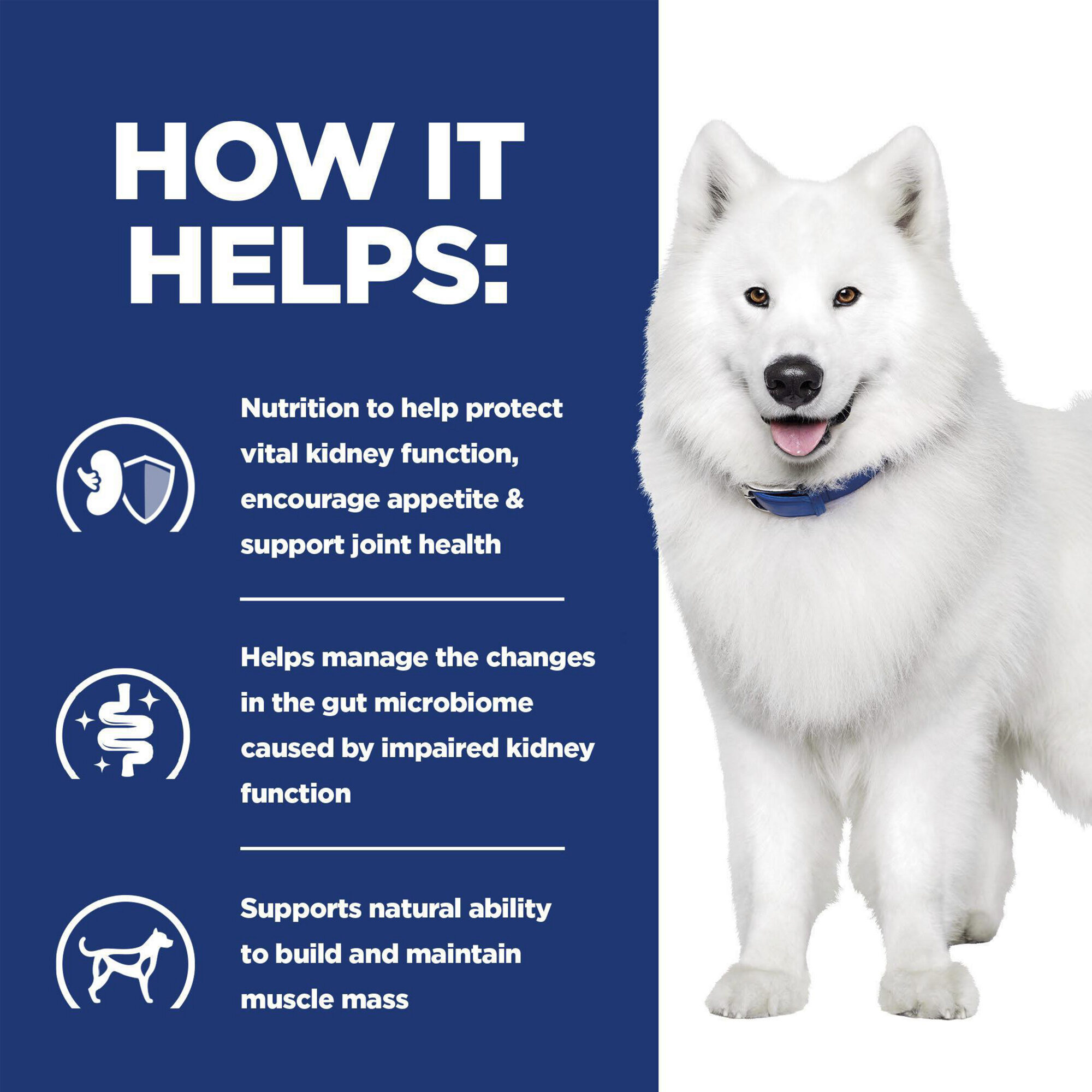 Hill's k/d + Mobility - Prescription Diet - Canine - Canned