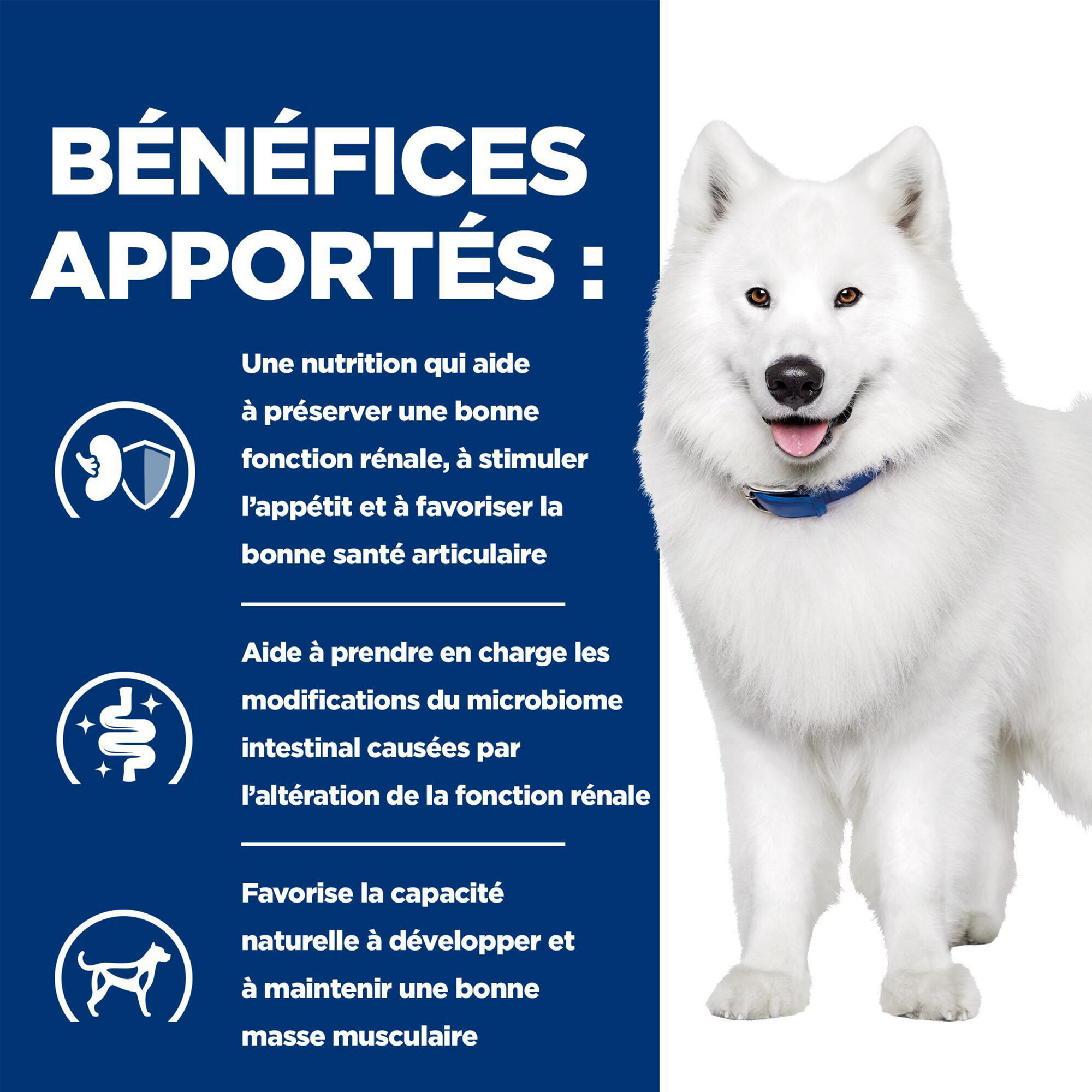 Hill's k/d + Mobility - Prescription Diet - Canine - En boîte
