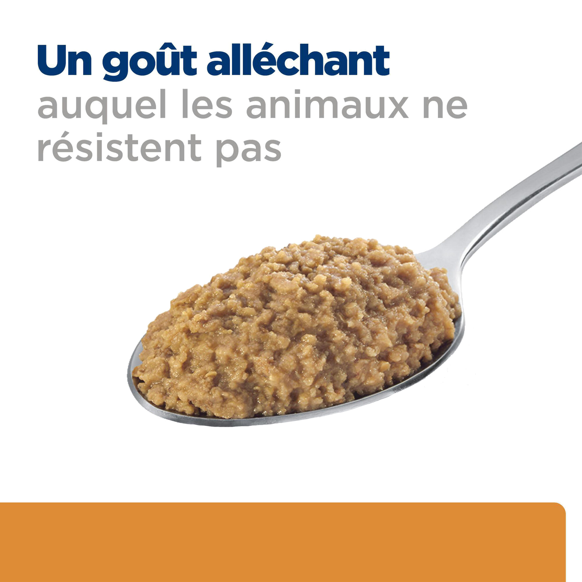 Hill's k/d + Mobility - Prescription Diet - Canine - En boîte