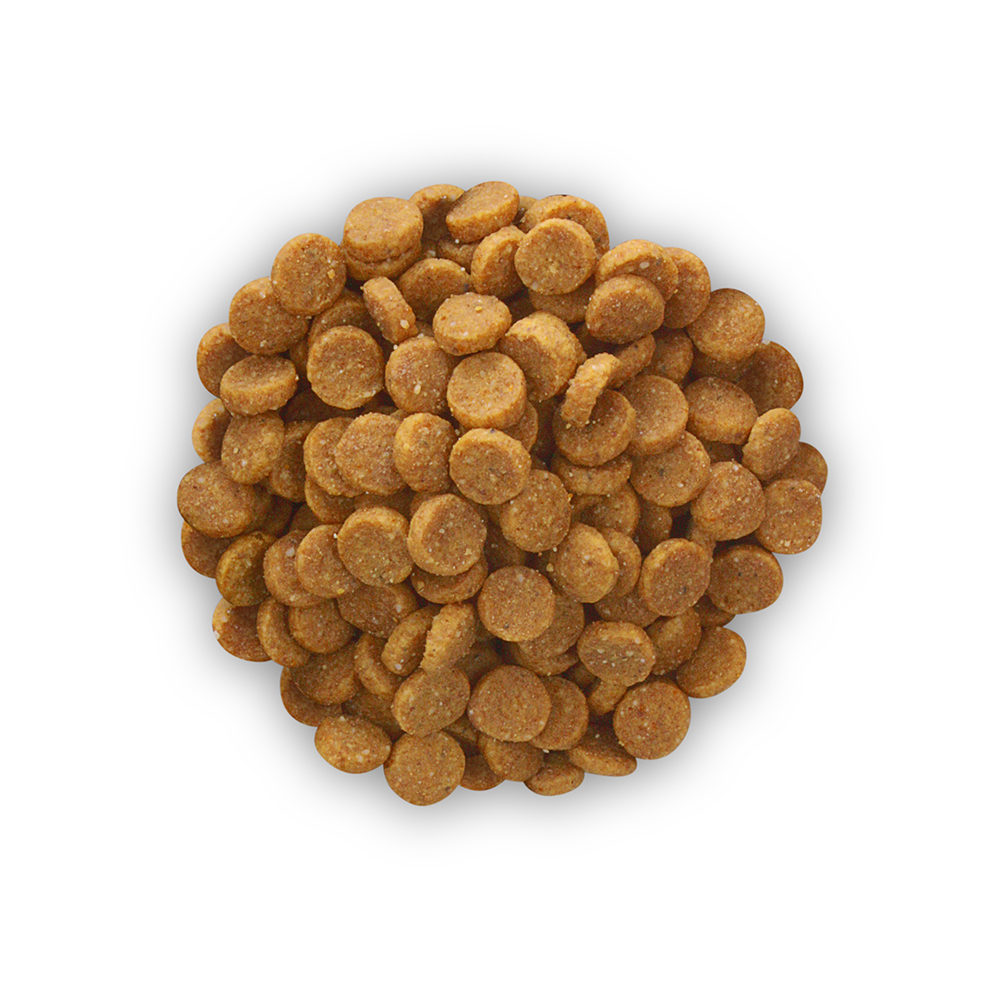 Hill's k/d + Mobility - Prescription Diet - Feline