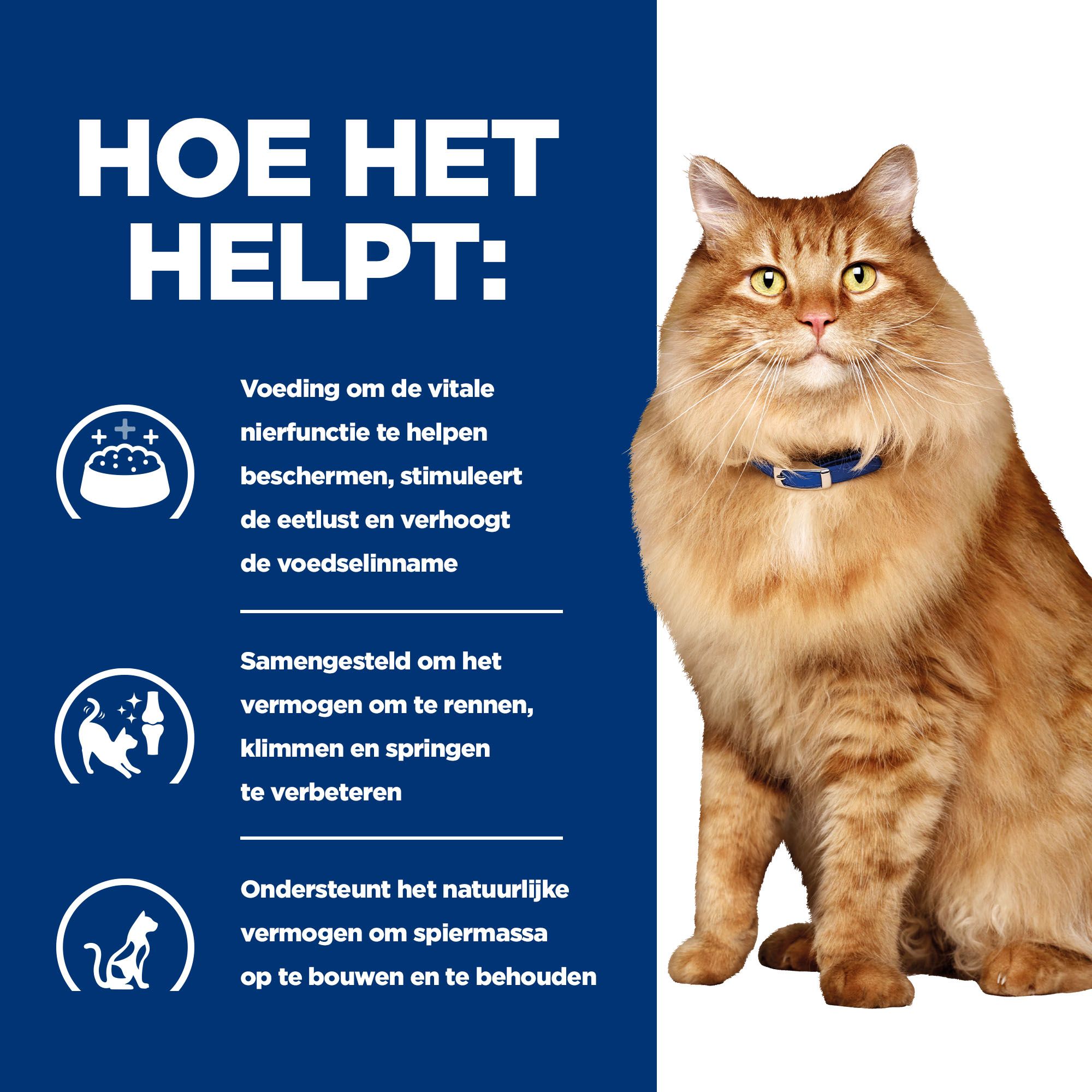 Hills kd mobility feline sale
