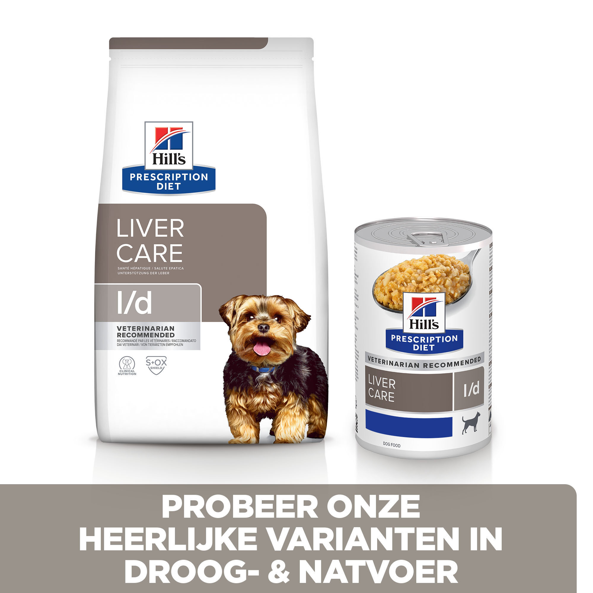 Hills sales hepatic dog