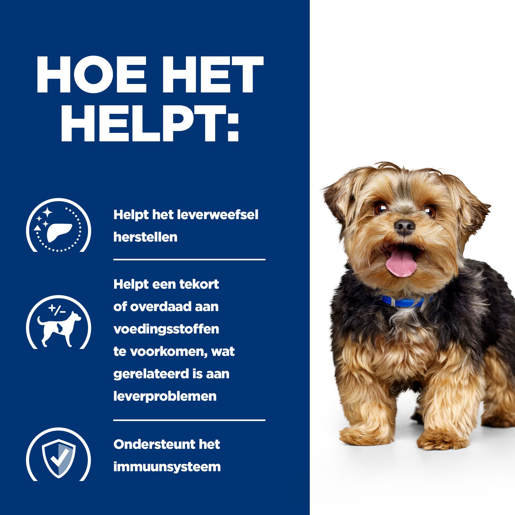 Hill s l d Canine Hond bestellen Medpets.be