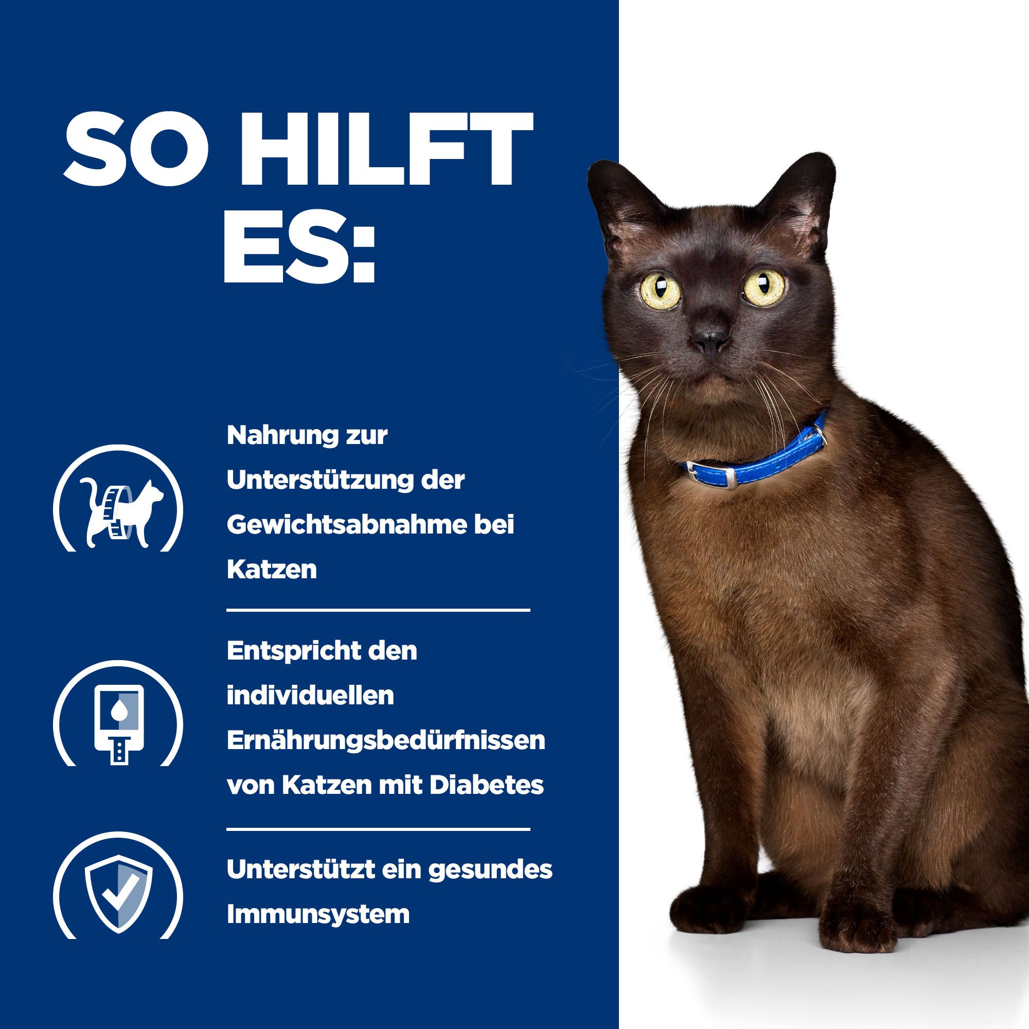 Hill s m d Feline Katze Bestellen Medpets