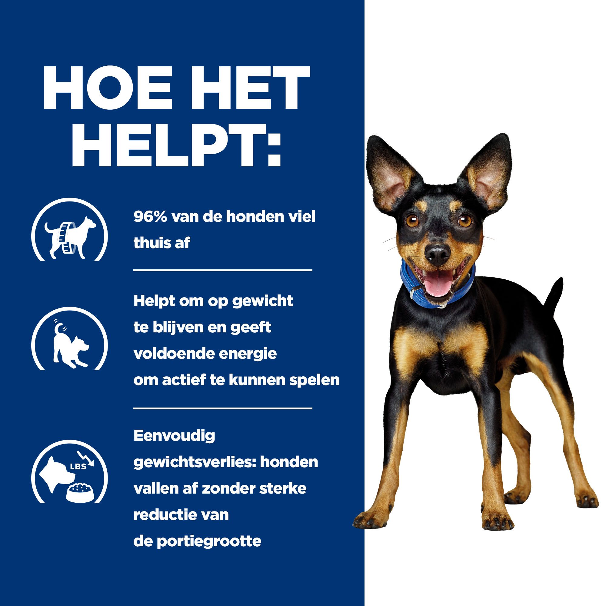 Hill's prescription diet canine metabolic mini top