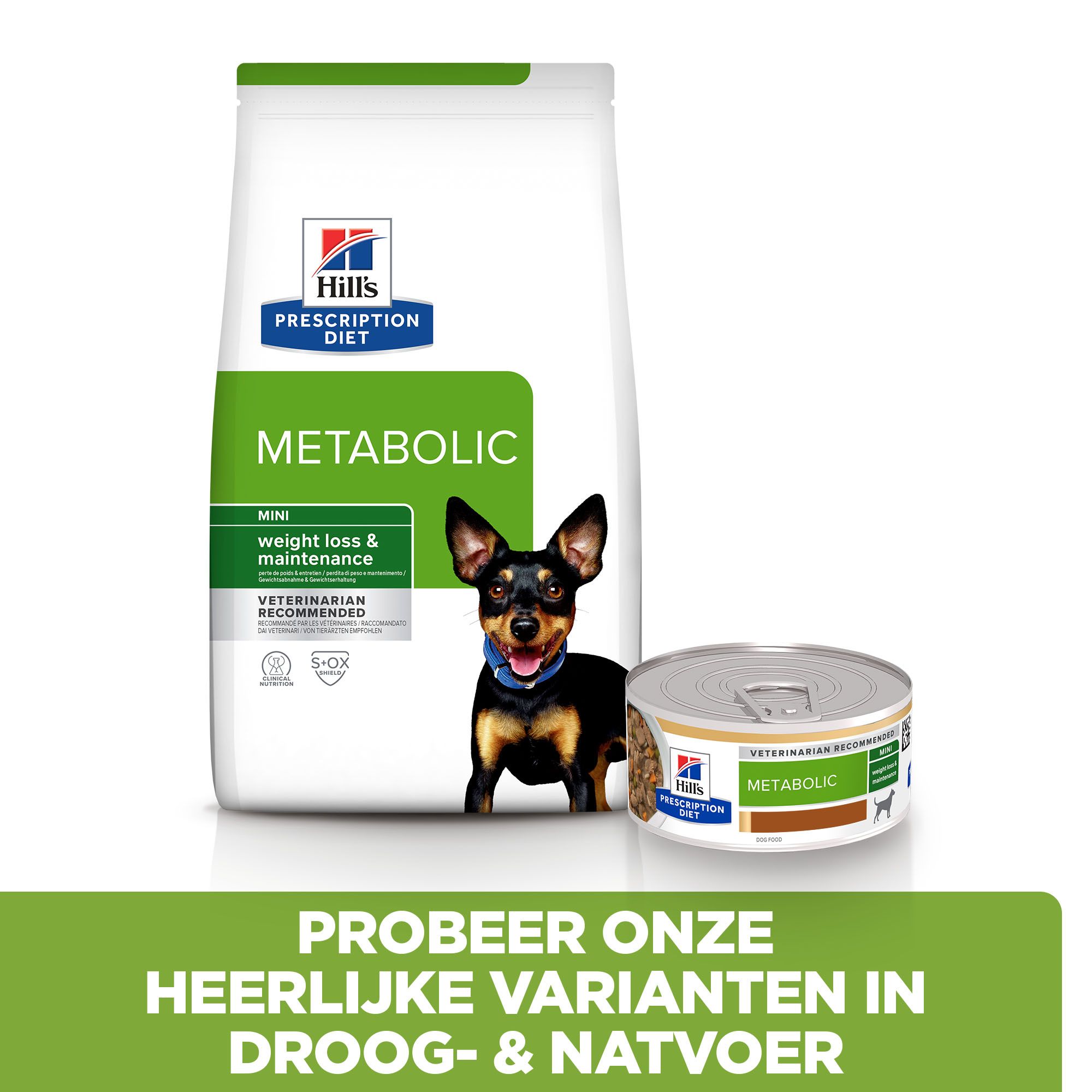 Hill's metabolic mini 6kg 2025