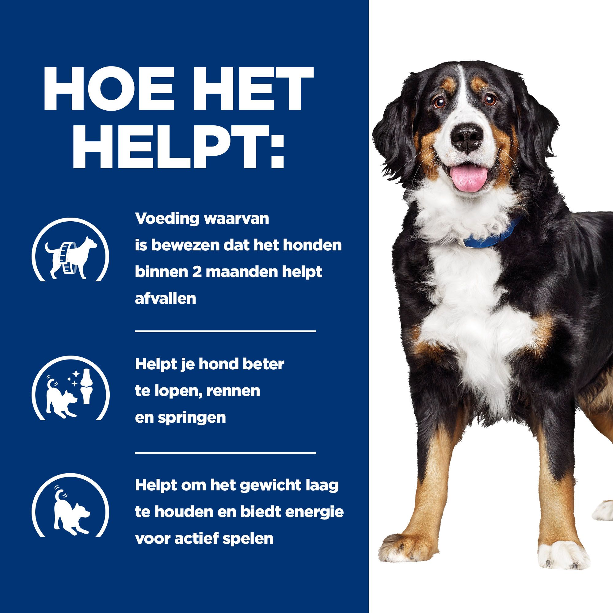 Hill s Metabolic Mobility Canine Hond Medpets.be