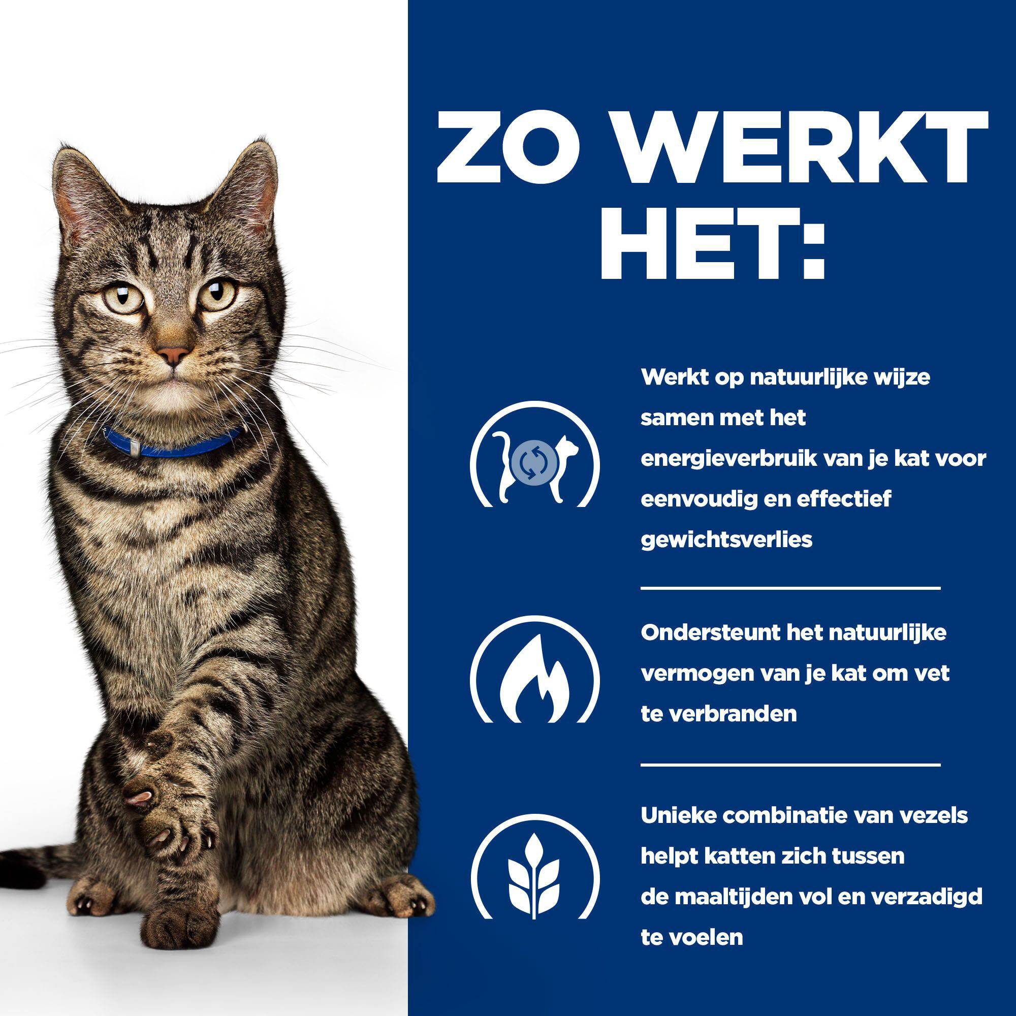 Hill's Metabolic Stoofpotje - Prescription Diet - Feline