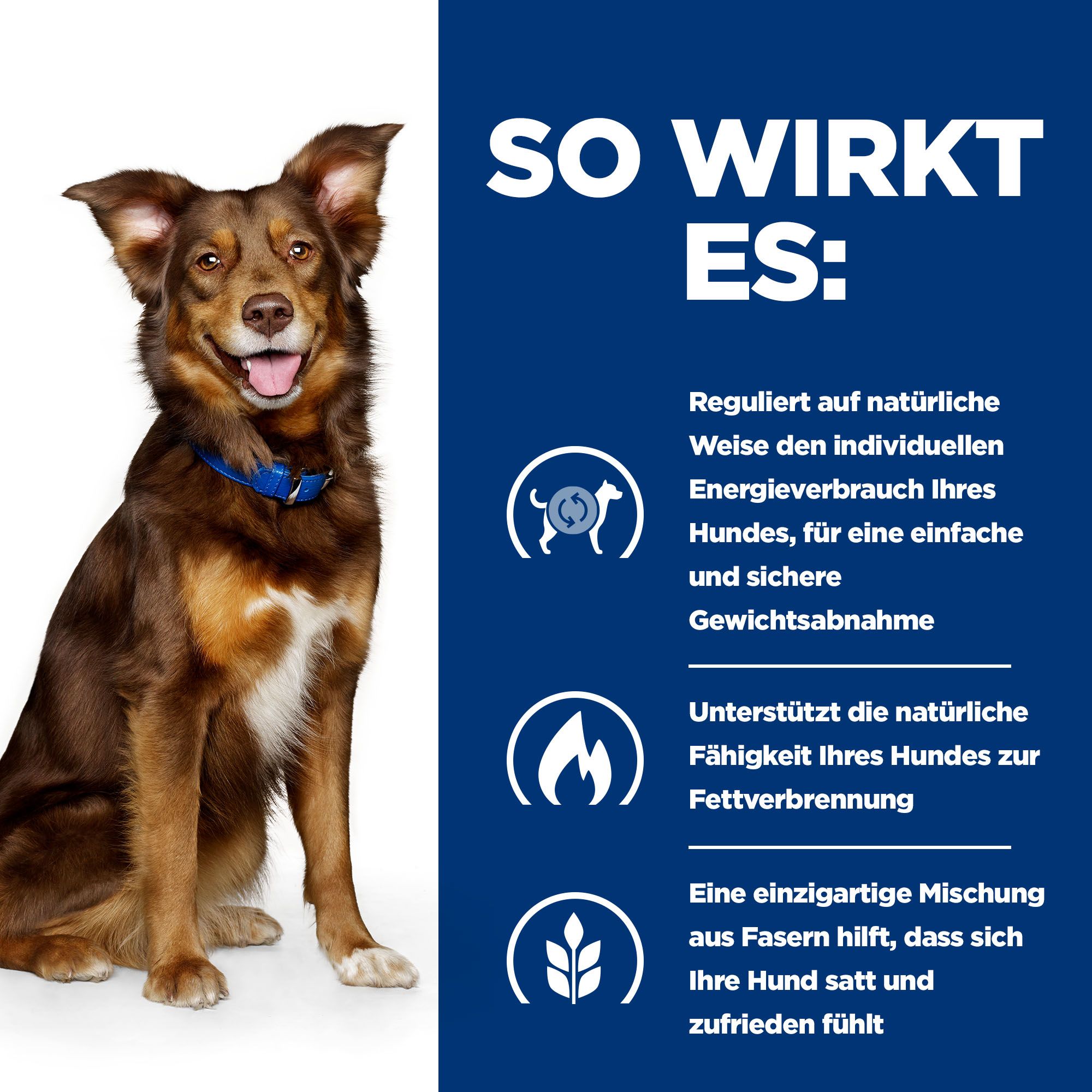 hundefutter kartoffel LandFleisch Dog Classic Junior Huhn, Ente und Kartoffeln mit Gartengem main image 1