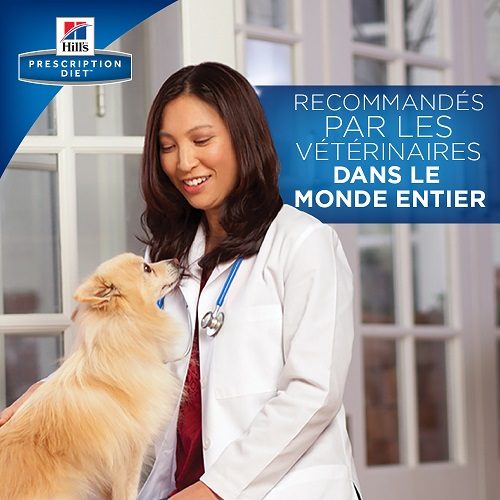 Hills rd canine discount