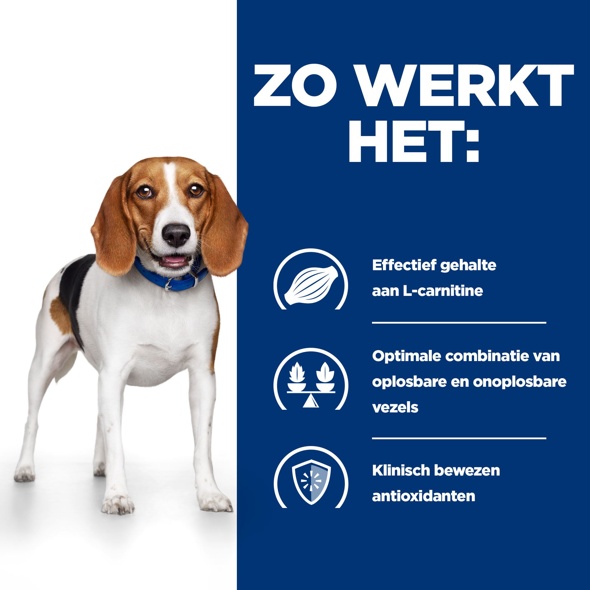 Hill s r d Canine Hond Bestellen Medpets