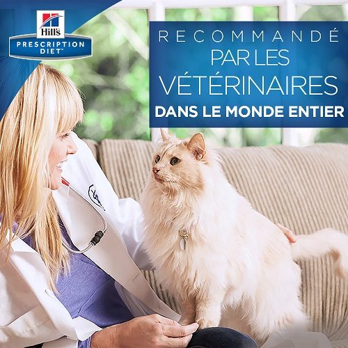 Hill s r d Feline Chat Commander Medpets