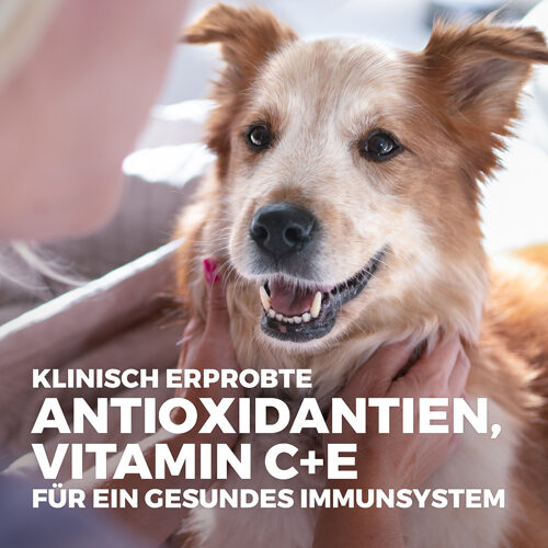 Hill's Science Plan Sensitive Stomach & Skin - Small & Mini Adult Dog