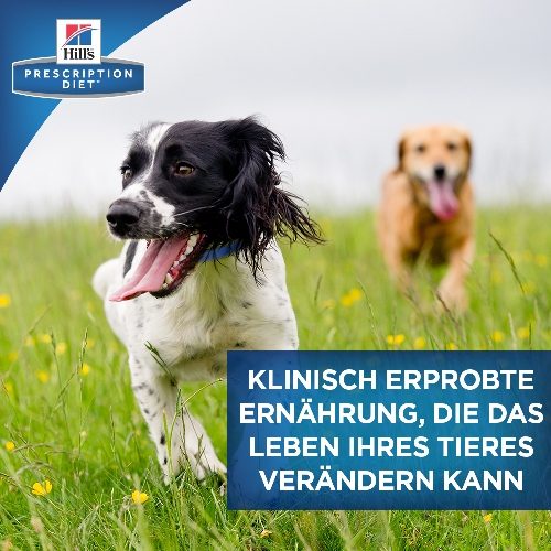 Hills urinary deals care hund