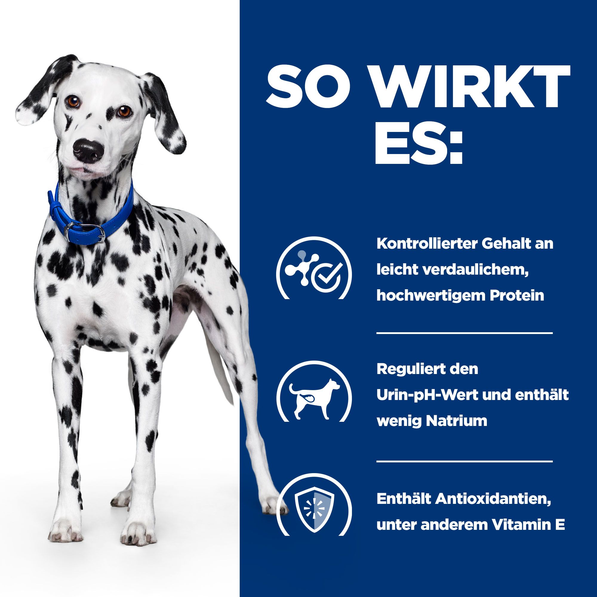 Ud diet for dogs clearance