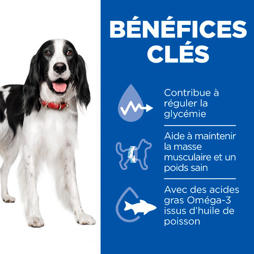 Hill's Prescription Diet w/d Diabetes Care - Canine