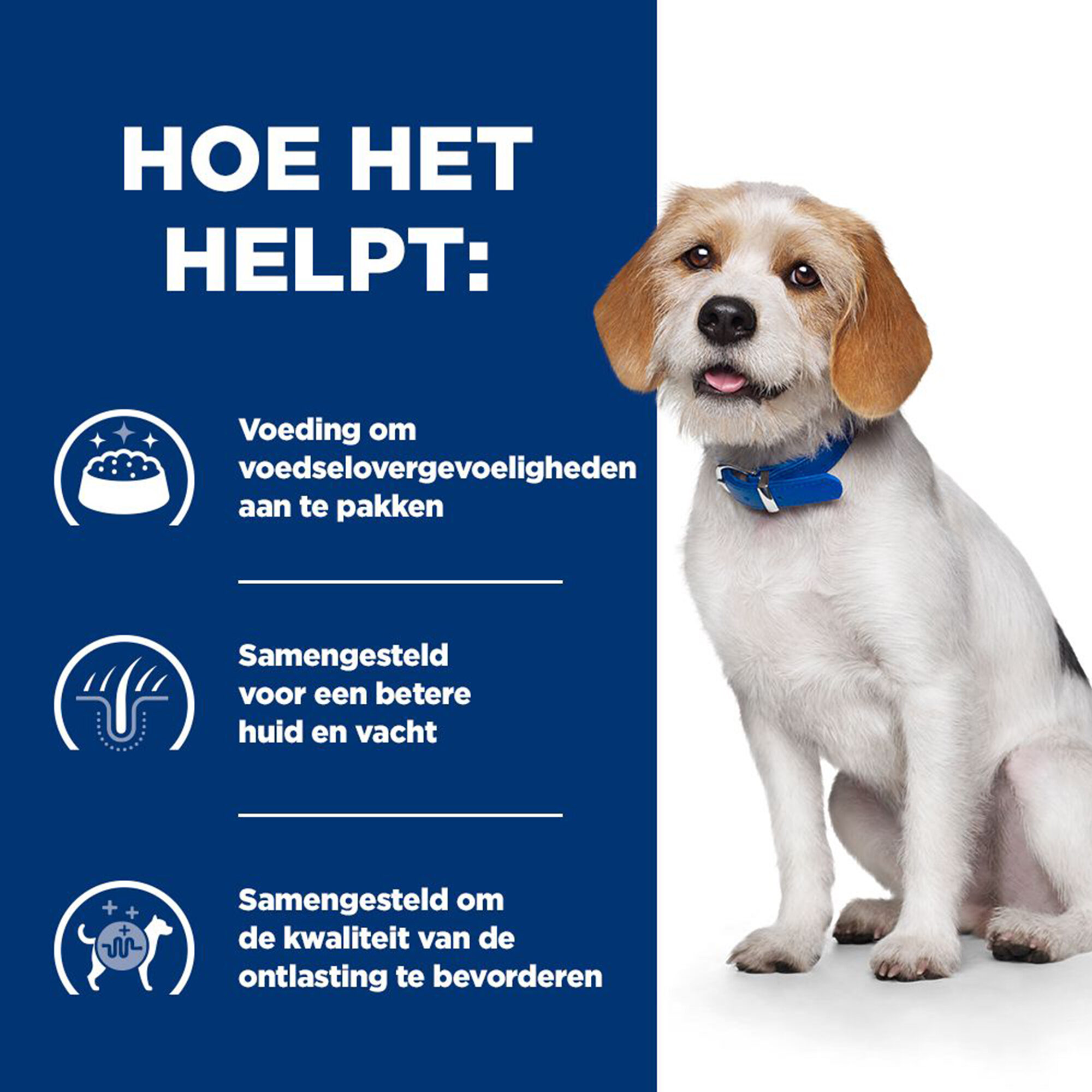 Hill's Prescription Diet Z/D Low Fat | Hond | Bestel | Medpets.nl