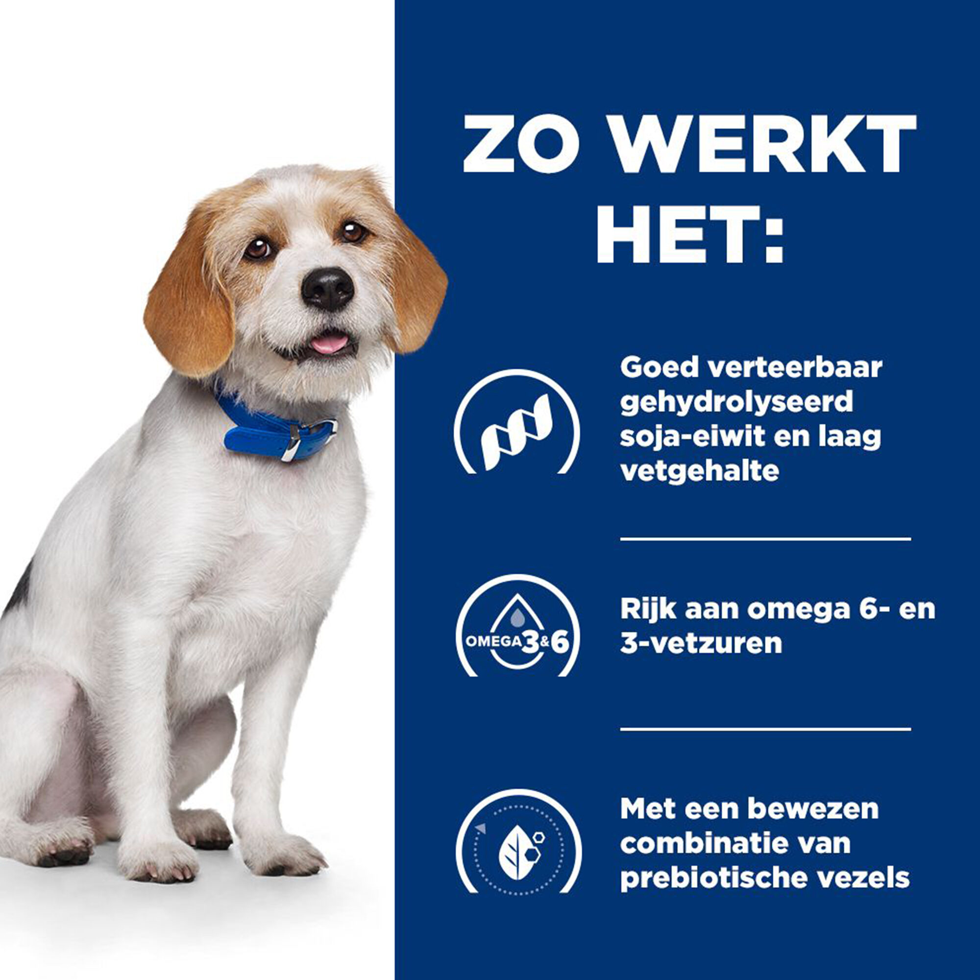 Hill's Prescription Diet Z/D Low Fat | Hond | Bestel | Medpets.nl